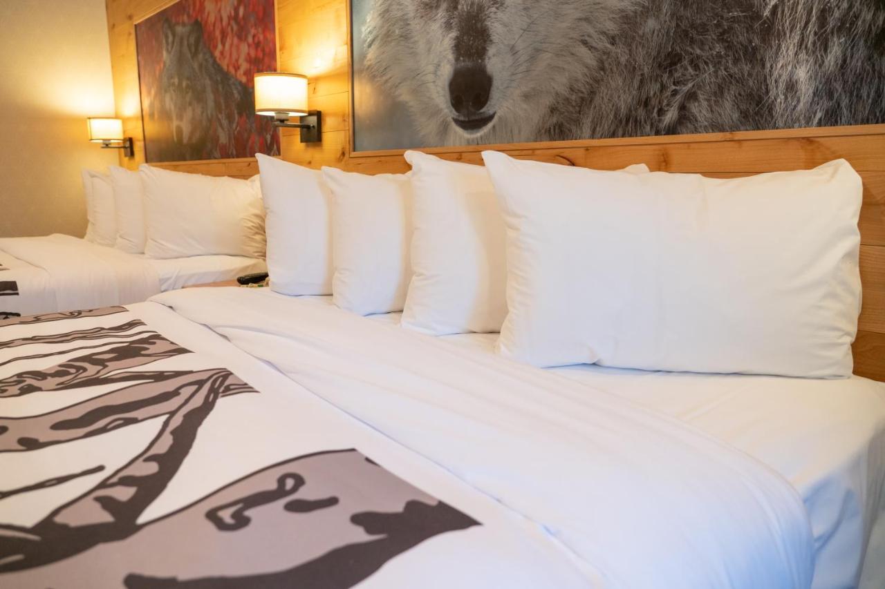 Junior Suite with Two Queen Beds
